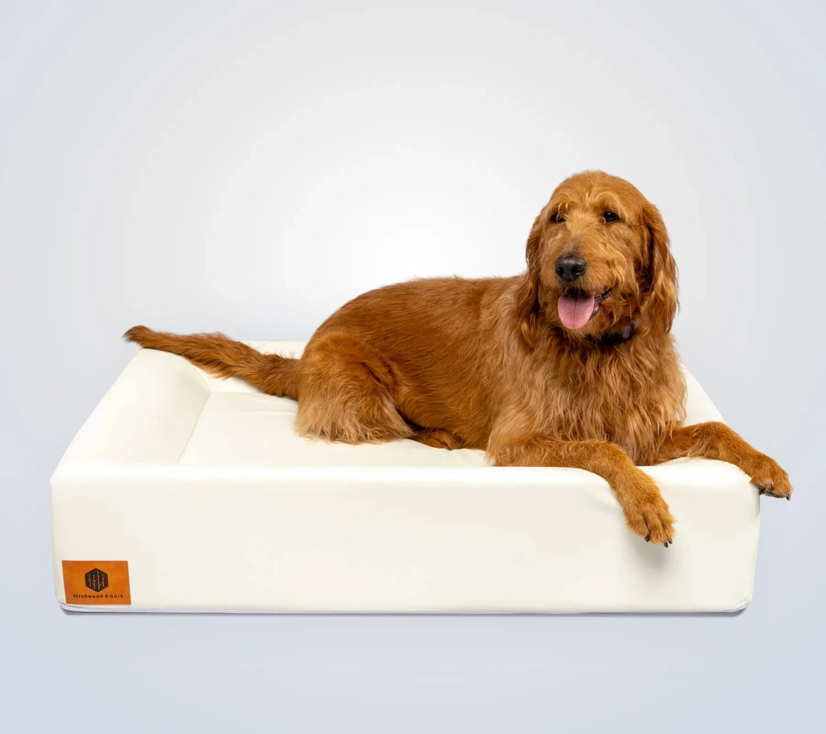 The laundry-free Birchwood Bed with wipe-clean shell