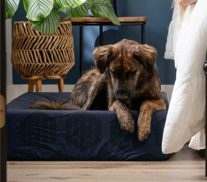 Medium - Laundry-Free Dog Bed + Free Disposable Cover