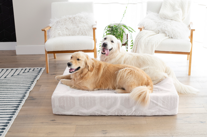 Extra Large - Laundry-Free Dog Bed + Free Disposable Cover