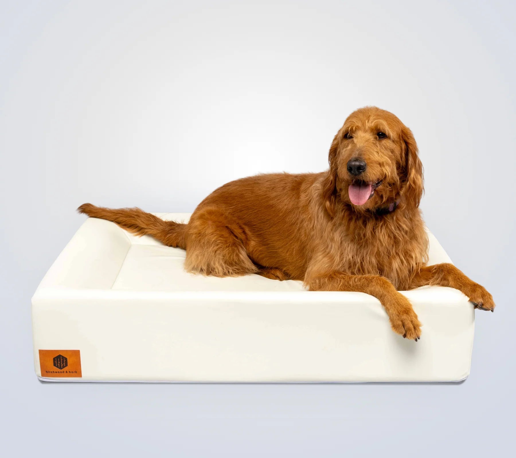 The Birchwood Bed - Large