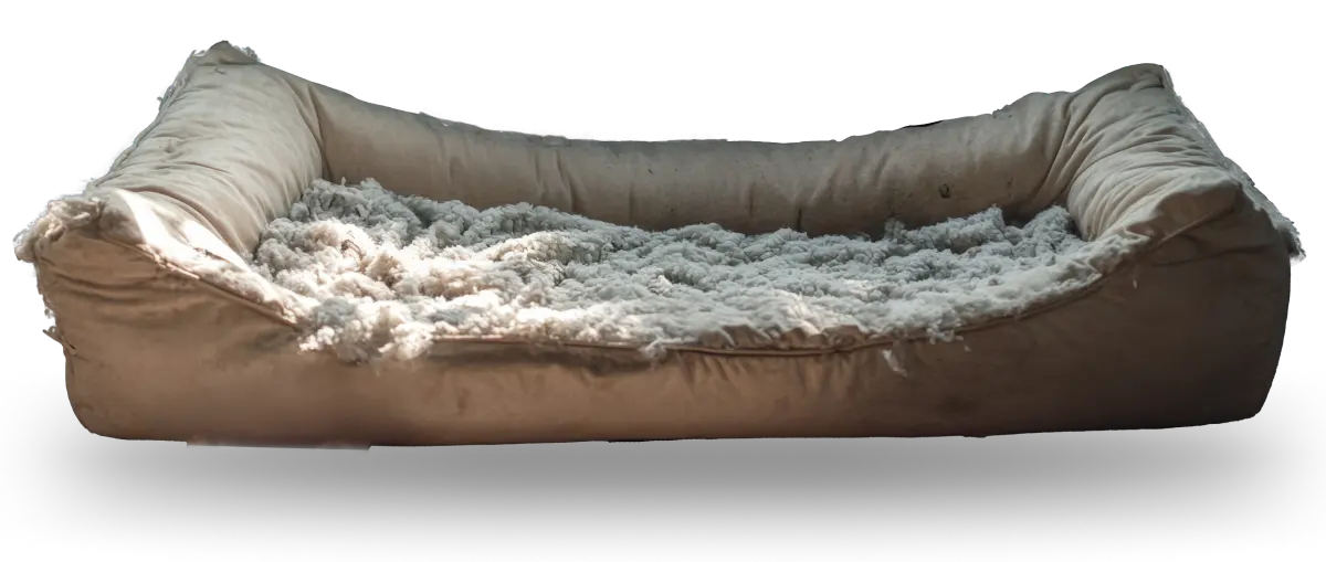 Worn-out, traditional dog bed with flattened cushions and matted fabric, showing signs of use and trapped dirt.