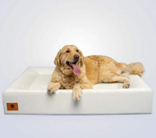 The Birchwood Bed - Extra Large